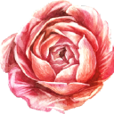 Customer profile logo