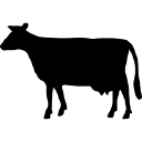 Customer profile logo