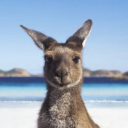 Customer profile logo