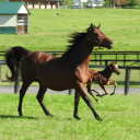 Customer profile logo