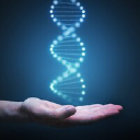 Customer profile logo