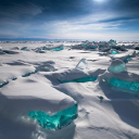 Customer profile logo