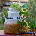 Customer profile logo