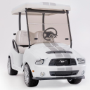 Customer profile logo