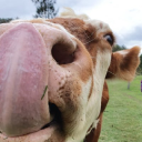 Customer profile logo