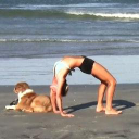 Customer profile logo