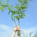 Customer profile logo