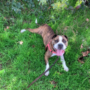 Customer profile logo