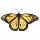 Customer profile logo