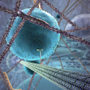 Customer profile logo