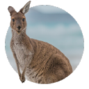 Customer profile logo