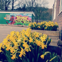 Customer profile logo